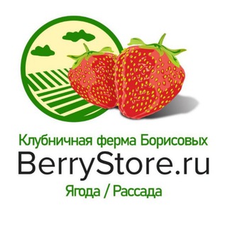 Логотип канала berrystore_ru