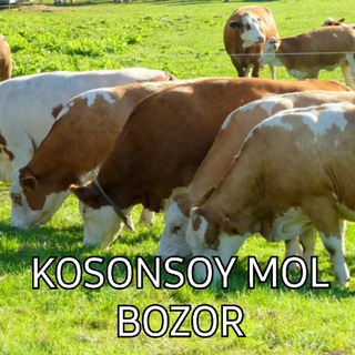 Логотип канала kosonsoy_mol_bozor