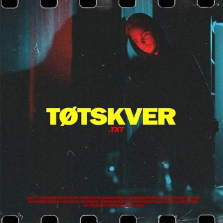 Логотип totskver