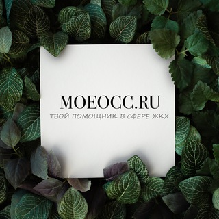 Логотип канала moeocc_ru