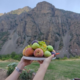 Логотип канала livinginvayotsdzor