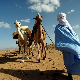 Логотип tuareg