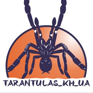 Логотип канала tarantulas_kh_ua