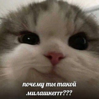 Логотип канала parnye_avatarki_anime