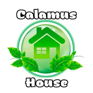 Логотип CalamusHouse