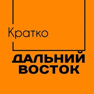 Логотип dv_kratko