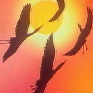 Логотип канала zhivotnyimir