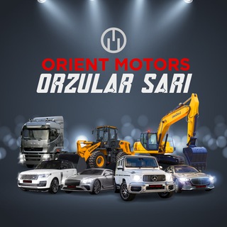 Логотип orientmotors