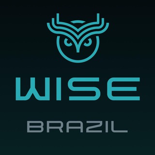 Логотип канала wisebrazil