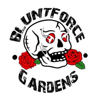 Логотип bluntgardenforce