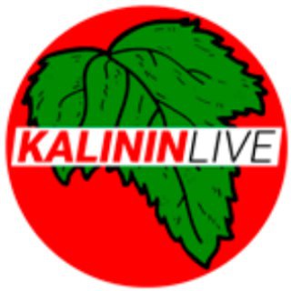 Логотип канала freelancer_kalininlive