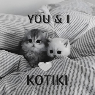 Логотип канала yandikot
