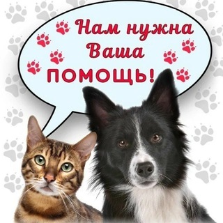 Логотип канала mirny_animals