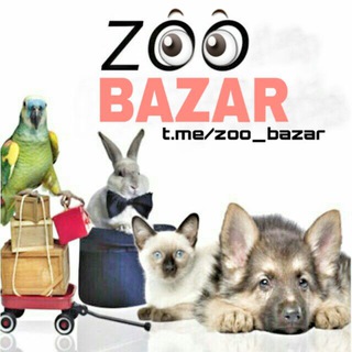 Логотип канала zoo_bazar