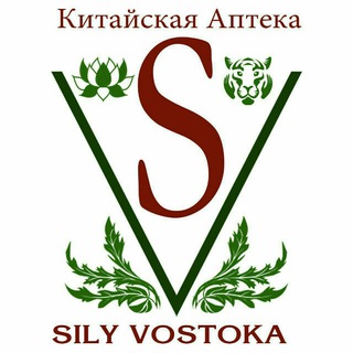 Логотип silyvostoka