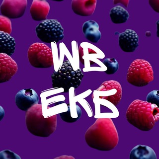 Логотип канала wb_ekbrg