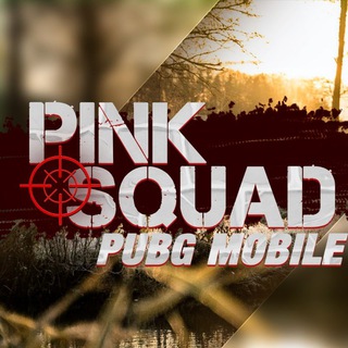 Логотип канала pink_squad_lite