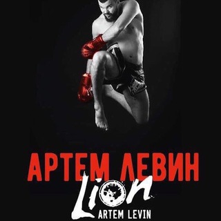 Логотип artemlionlevin