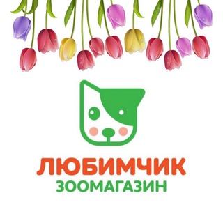 Логотип канала lubimchik_zoo