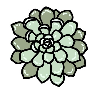 Логотип succulent_chat