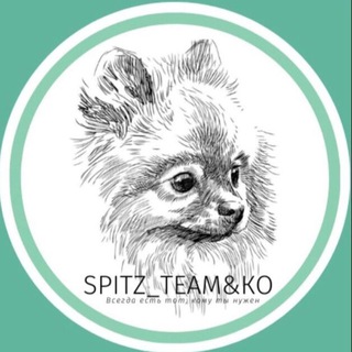 Логотип канала spitz_team