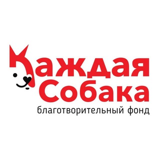 Логотип канала everydog_fund