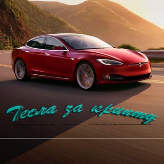 Логотип tesla_crypto1