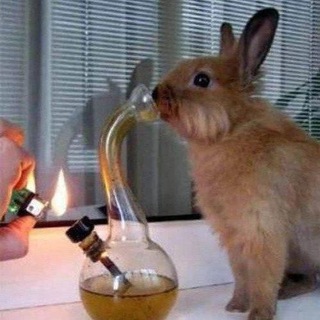 Логотип канала _DEUJkRfzxkwMDk1
