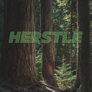 Логотип канала herstle6