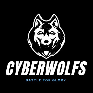 Логотип pubgwolfs