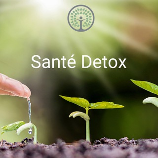 Логотип santedetox