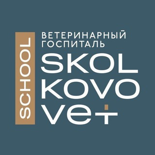 Логотип канала skolkovovetschool