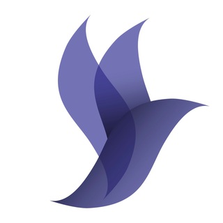 Логотип канала smba_science