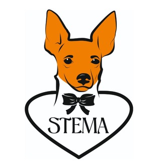 Логотип канала stema_brand