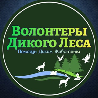 Логотип канала WildVolunteer64