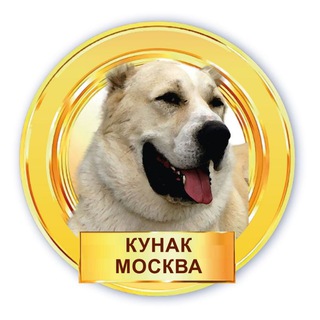 Логотип канала kunak_msk