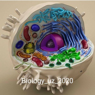 Логотип канала biology_uz_2020