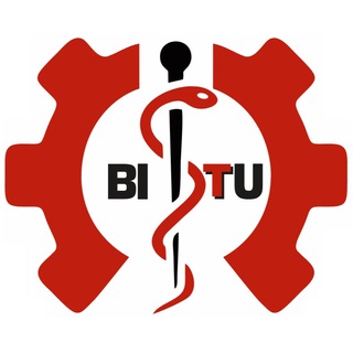 Логотип bitiinfo