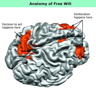 Логотип brainiran