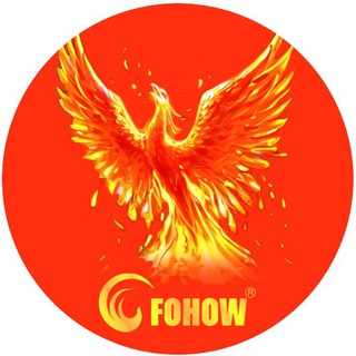 Логотип fohow_group