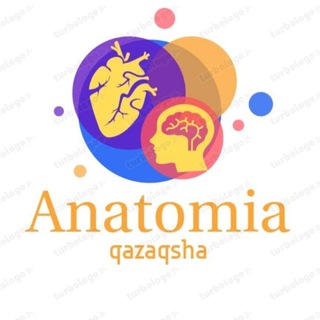 Логотип канала kazakhwa_anatomia