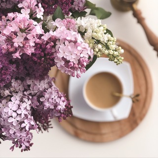 Логотип канала bloominghome