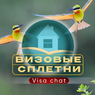 Логотип канала chatting_visa