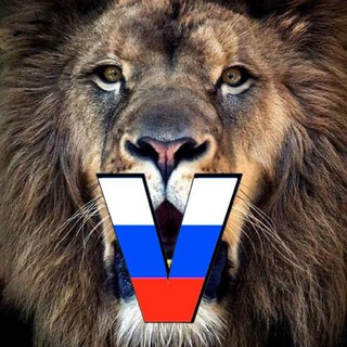 Логотип канала thelionsoftiktok