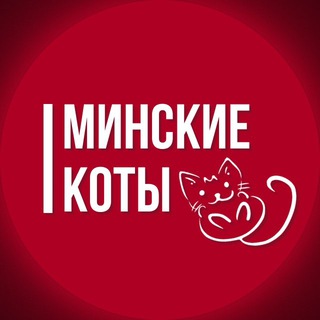 Логотип канала improvminskfd