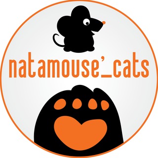 Логотип канала natamouse_cats