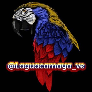 Логотип канала laguacamaya_ve