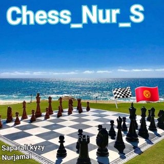 Логотип канала chess_nur_s