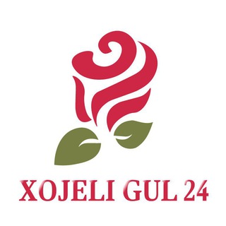 Логотип guller24