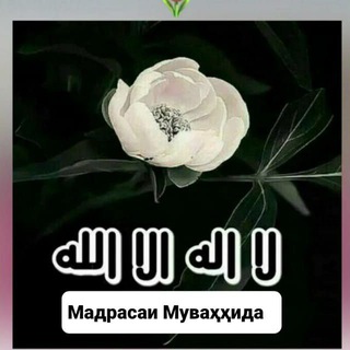 Логотип канала ahli_sunnat_wal_jamoat